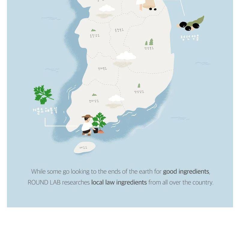 ROUND LAB - Mugwort Calming Cream