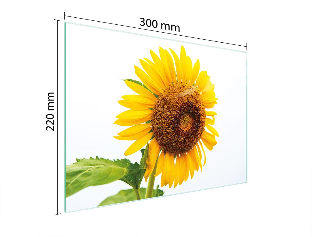 GLASSKÄRBRÄDA 30x22 BLOMMA