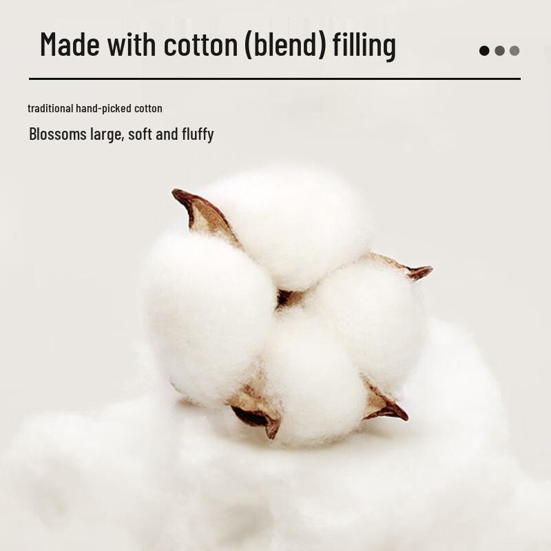 Thick Warm Cotton Blend Quilt for Single Bed