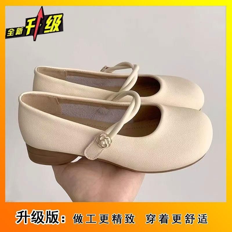 2025 New Spring and Autumn French Round Head Mary Jane Shallow Mouth with Skirt Soft Leather Single Shoes Women's Small Leather Shoes Thick Heel Shoes