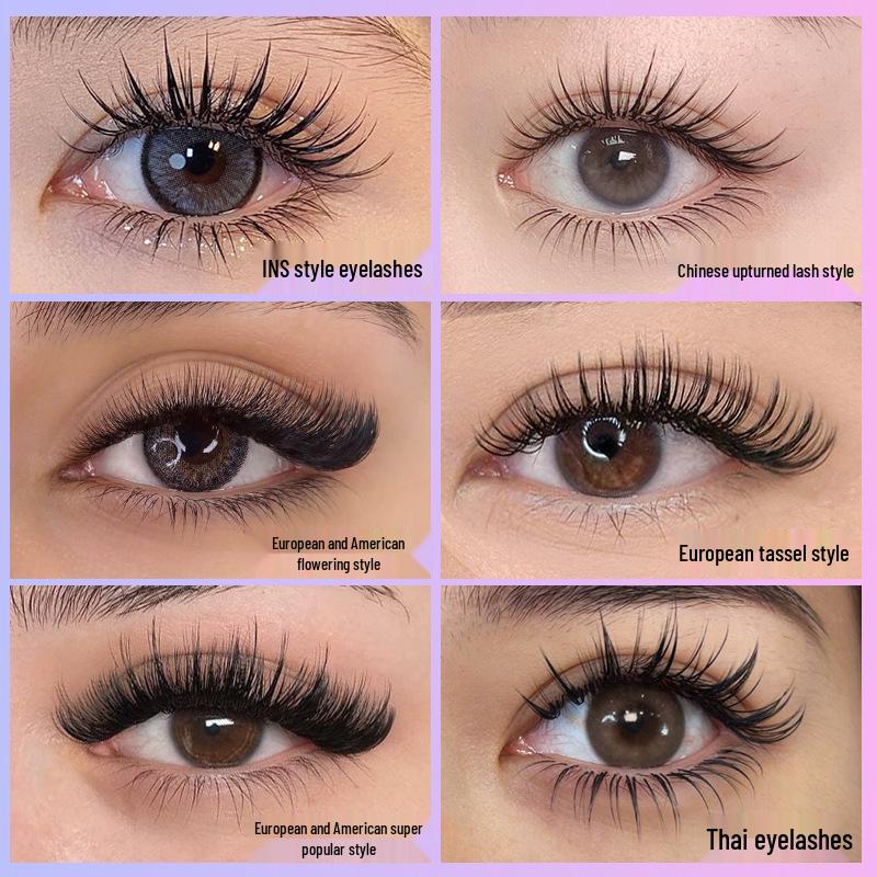 Thai Manga 0.05 Camellia INS Style Blooming Eyelashes - Durable, Non-Dispersing, Single or Multi Pick