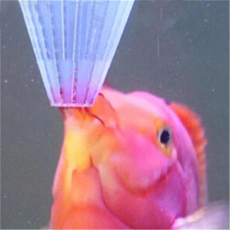 4 Stück Aquarium Roter Wurm Futterkegel Fütterung für Aquarium Skalarfisch Diskusfisch