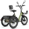 Bicicleta Eléctrica Fafrees F20 Mate Motor de 250W Frenos de Disco Doble Neumático de Aire 20"x2.5" Plegable E-Bike de Carga Pantalla LCD 48V 21Ah Carga Máxima 180Kg