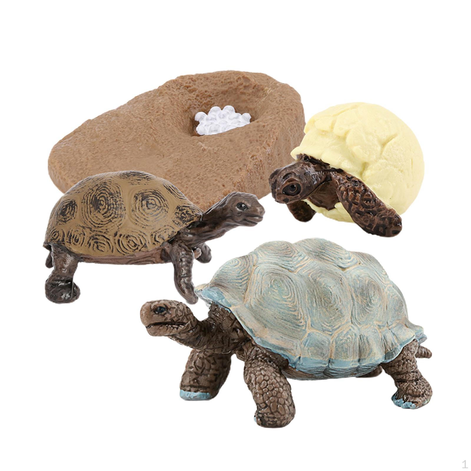 Cycle of Turtle Figure Model Playset Imagination Toys Geochelone