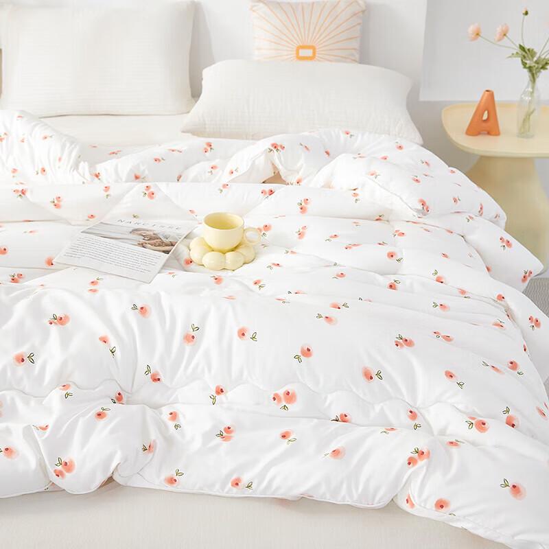 Donna Home Textiles 5A Antibacterial Baby Velvet Ginger Quilt