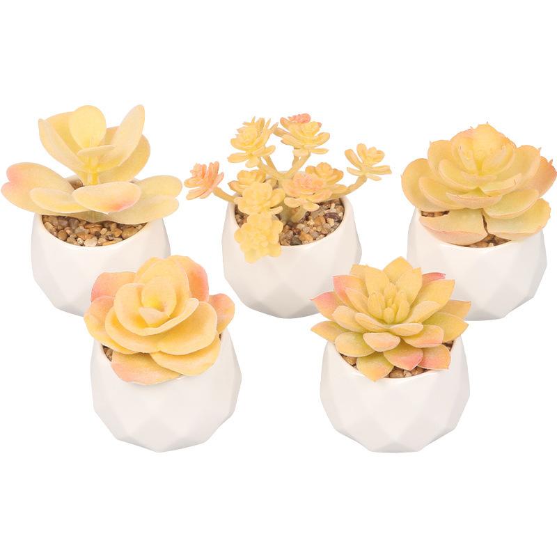 Simulation Sukkulentenpflanze Keramik Topfpflanze Künstliche Sukkulente Bonsai Künstliche Blume Innendekoration Ornament Grüne Pflanzen