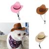 Denim Cowboy Hat with Star for Cats & Small Dogs