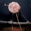 Dunhuang Chinese Style Bridal Group Fan Tassels Silk Fan Gorgeous Chinese Embroidery Fan  Wedding