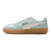 Puma Palermo CN Nylon Fashion Comfortable Thin Sole Wear-Resistant Low-Top Sneakers Unisex Sneakers Gray Blue 403953-03