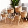 Nordic Rattan Woven Flower Pot and Stand for Living Room/Balcony Decor.