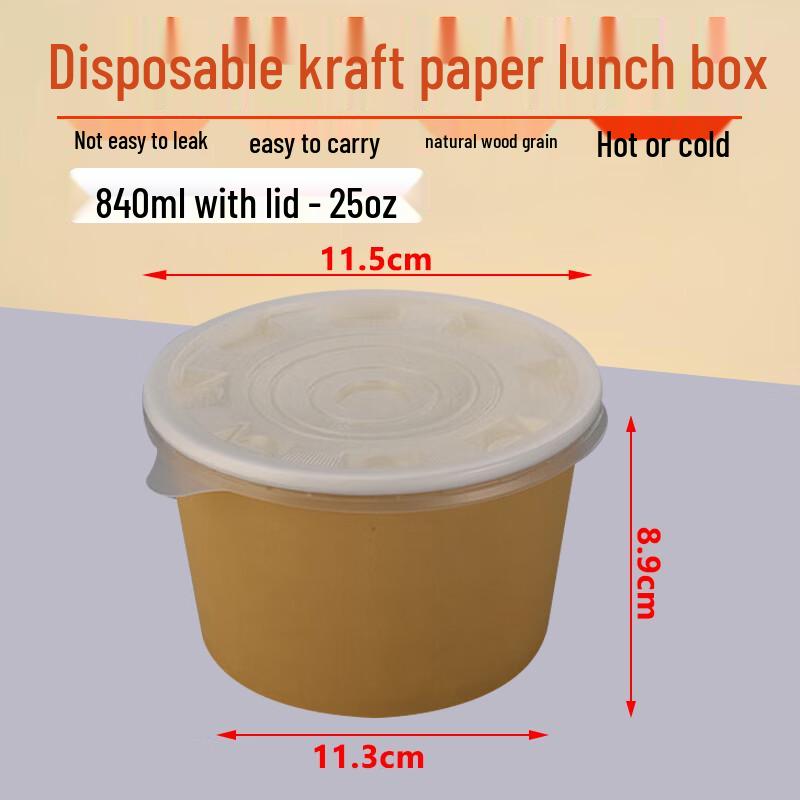 Homeglen Disposable Takeaway Food Containers with Lids