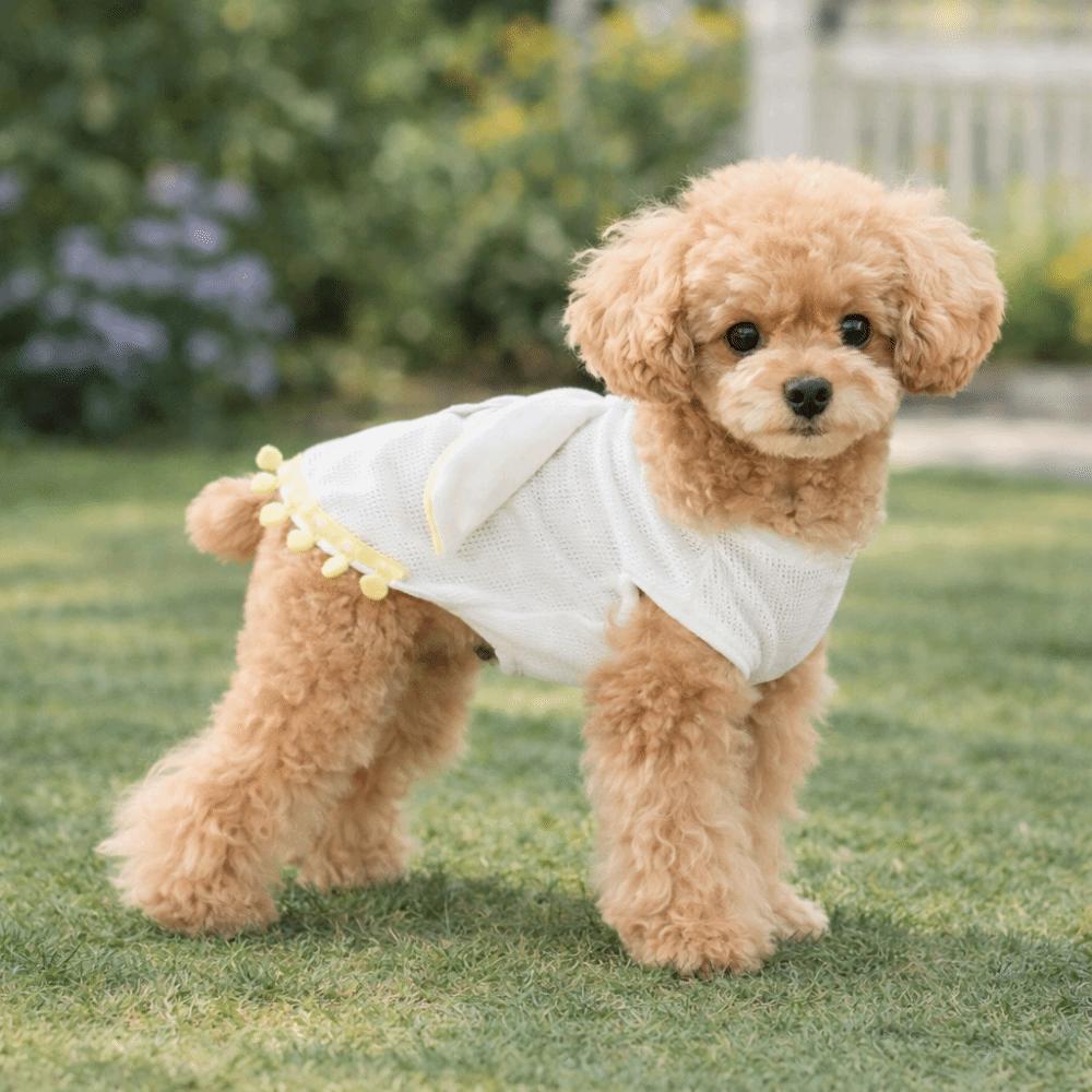 Fashion Breathable Dog T-Shirt Cartoon Comfortable Cat Traction Suit with D-ring Lightweight Pet Vest Daily Walk