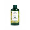 Shower Gel OLV (Scent: Olive) (250mL)