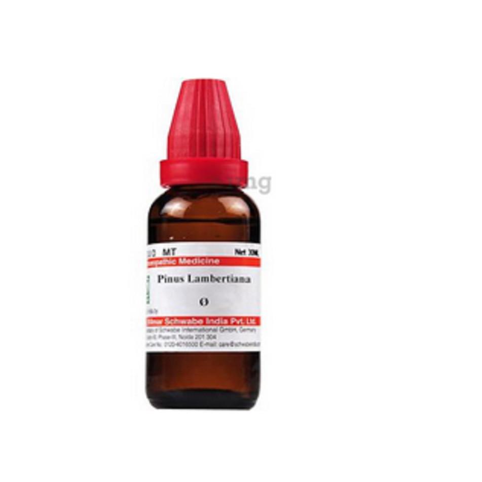 @ Dr Willmar Pinus Lambertiana Q Homeopathic Medicine 30ML UKR189_60%OFF