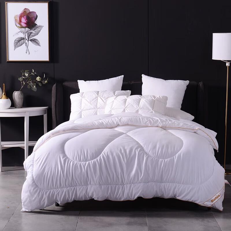 Duoxiai All-Season Soft Quilt