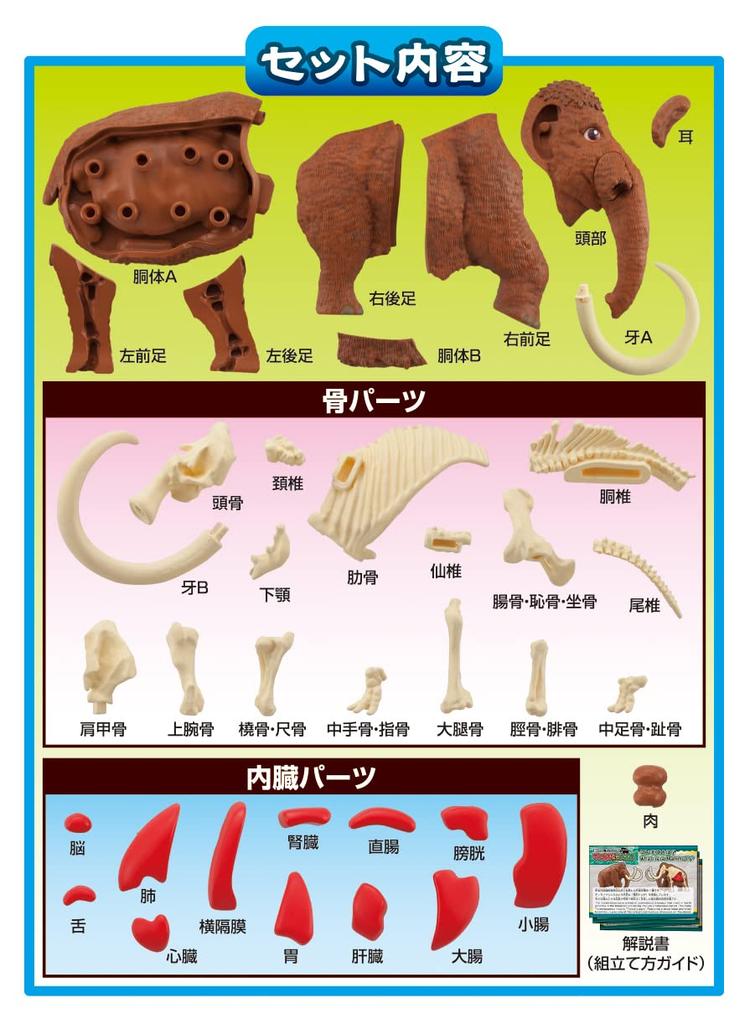 MegaHouse Disassembly Puzzle Science Mammoth Reconstruction Puzzle