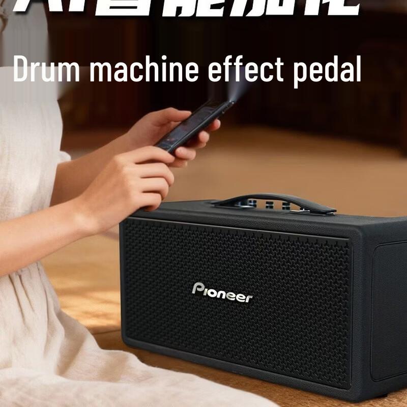 Pioneer Professional Bluetooth Singing Instrument Speaker (CN Version)