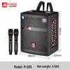 Malone M-08S Portable Outdoor Bluetooth Speaker with Wireless Microphones CN plug (adapter included)