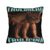Italian Brainrot Japanese Pillow Case Soft Pillow Cover For Sofa Bedroom Home Decor Funny Cushion Cover