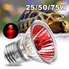 Beauty Decor UVB Amphibians Reptiles Bulbs Snake Light UVA Bird Emitter Warming Heating Lamp