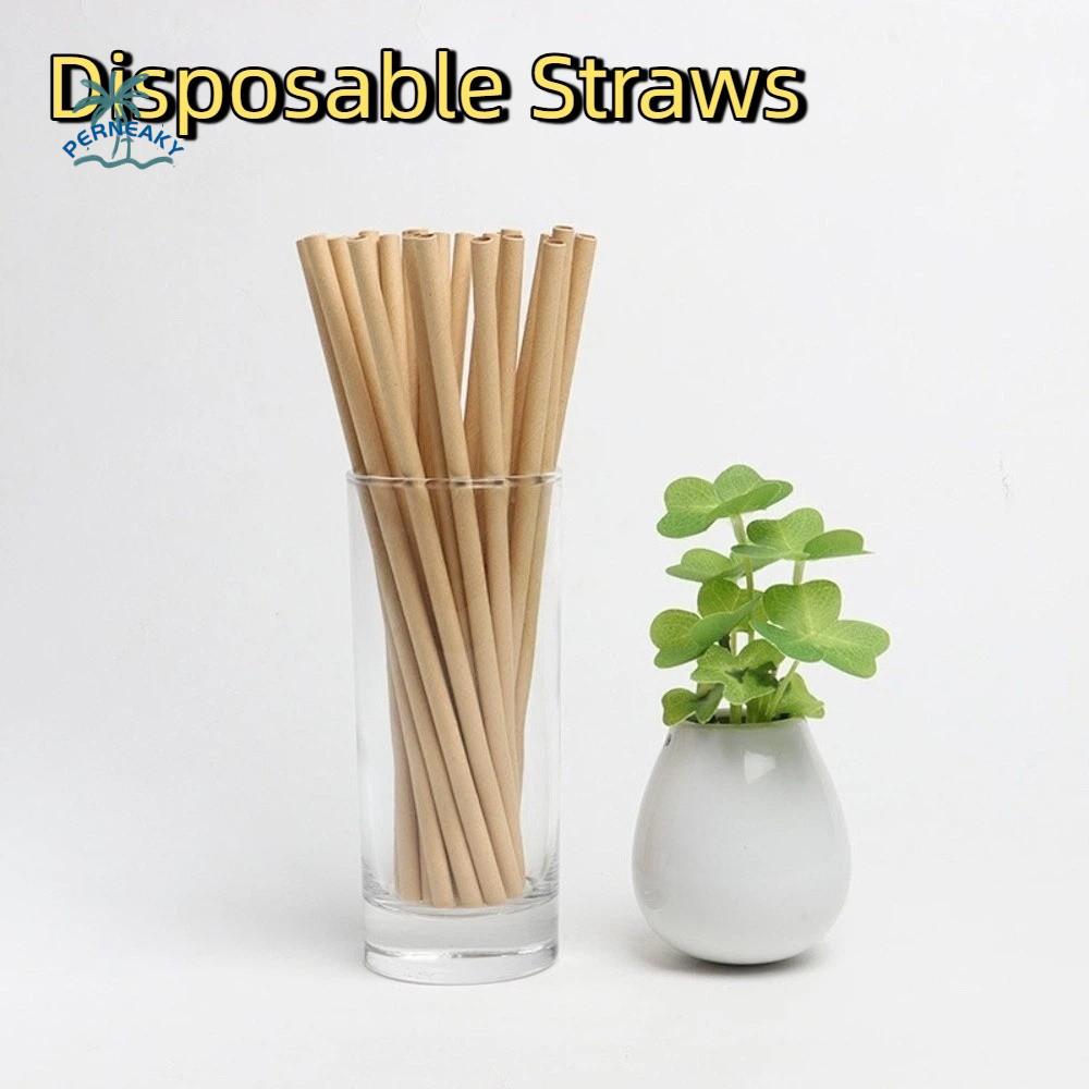 100PCS Kraft Paper Biodegradable Paper Straws Flat Opening Brown Disposable Straws Direct Pipe Drinking Straws Birthday Party