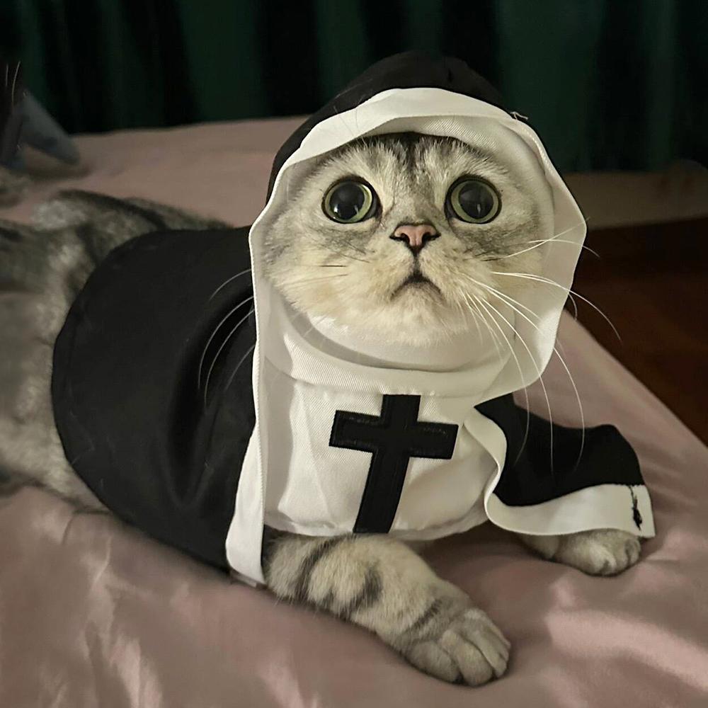 Funny Halloween Pet Cat Dog Nun Costume Cute Cats Cosplay Clothes Cross Dress Up Soft Breathable Kitten Outfits Christmas Gifts