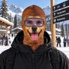 Windproof Balaclava Ski Mask 3D Printed Neck Gaiter Novelty Face Cover  Skiing