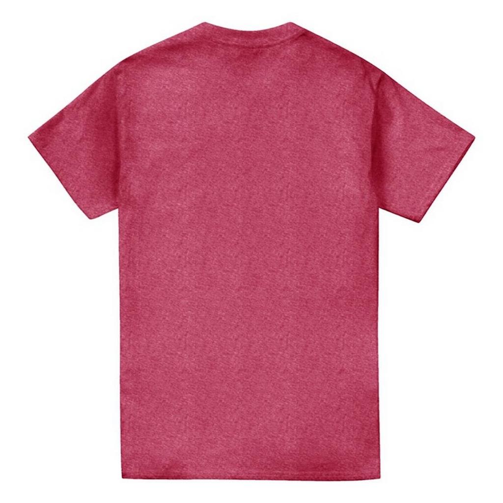 Asterix Unisex Adult The Heroic Gauls Heather T-Shirt