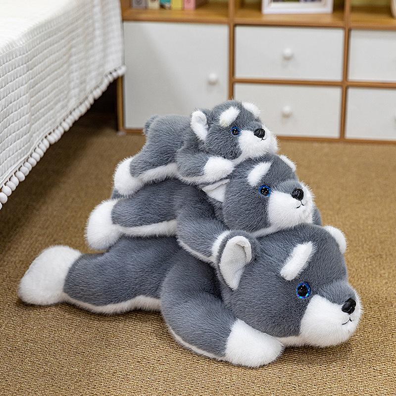 Cute Schnauzer Plush Toy Dog Rag Doll Cartoon Dog Doll Animal Children's Companion Gift