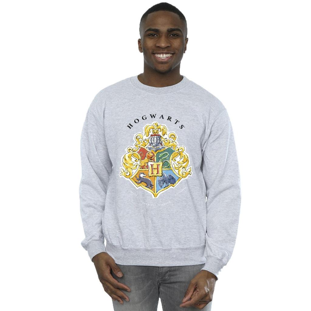 HARRY POTTER Mens Hogwarts School Emblem Sweatshirt