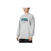Puma Letter Print Sports Casual Pullover Sweatshirt Men Sweatshirt Gray 678422-04
