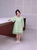 Girls' 2025 Spring/Autumn Long Sleeve Tulle Princess Dress - Perfect Birthday Gift for Middle Childhood