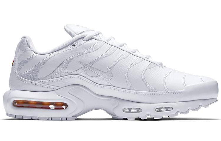 Nike Air Max Plus Triple White AJ2029-100