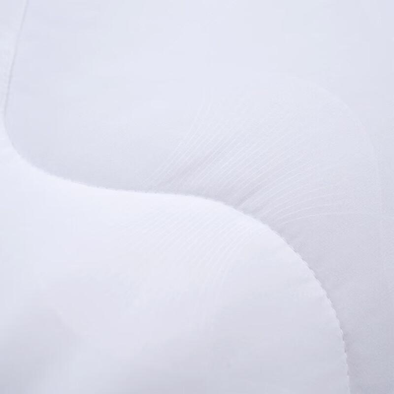 Mercury Home Textiles DH All-Season Antibacterial Mulberry Silk Quilt