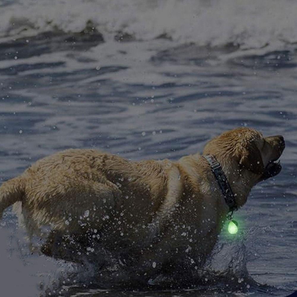 2Pcs Rechargeable LED Dog Collar Pendant Plastic Dog Cat Collar Luminous Collar  Night Walks