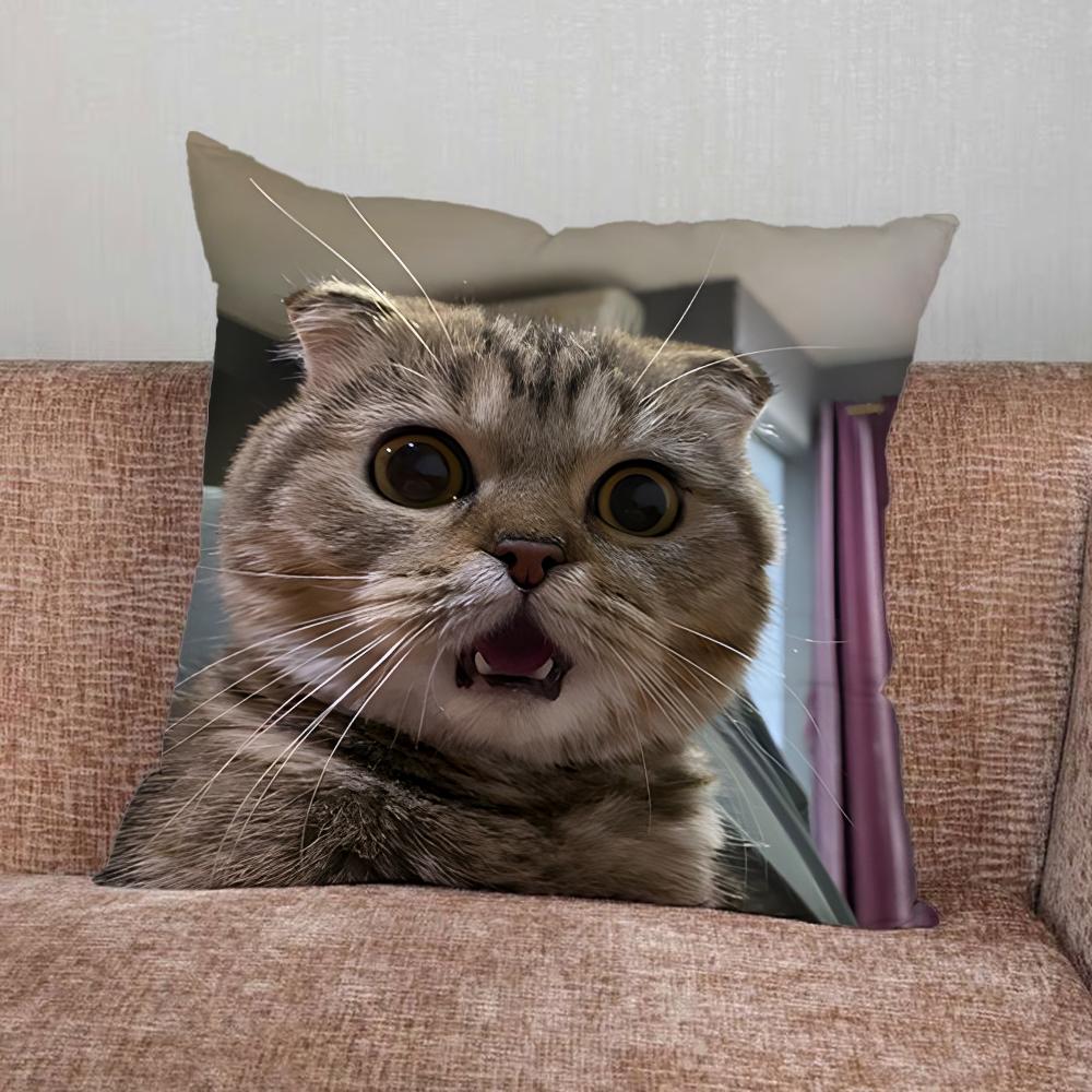 Pet Cat Funny memes Pillow Case For Home Bedroom Car Office Decoration Living Room Sofa Cushion Cover Suitable