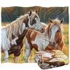 JQ Licensing Cf Silky Horse Supersoft Blanket