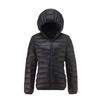 Women's Lightweight Cotton Down Jacket with Stand Collar - 2024 Korean Style, Loose Fit, Short Hooded Design for Autumn and Winter.