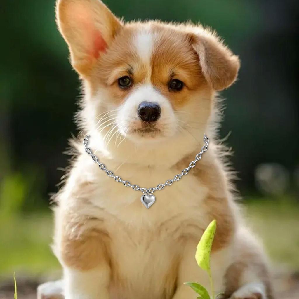 Pet Wedding Heart Collar Jeweled Necklace Heart Charm Wedding Costume Stainless Steel Heart Necklace