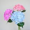 72 Blütenblätter Hortensie 3D-gedruckte künstliche Blume - Hydrierende Haptik Kunstblume für Hochzeitsdekorationen.