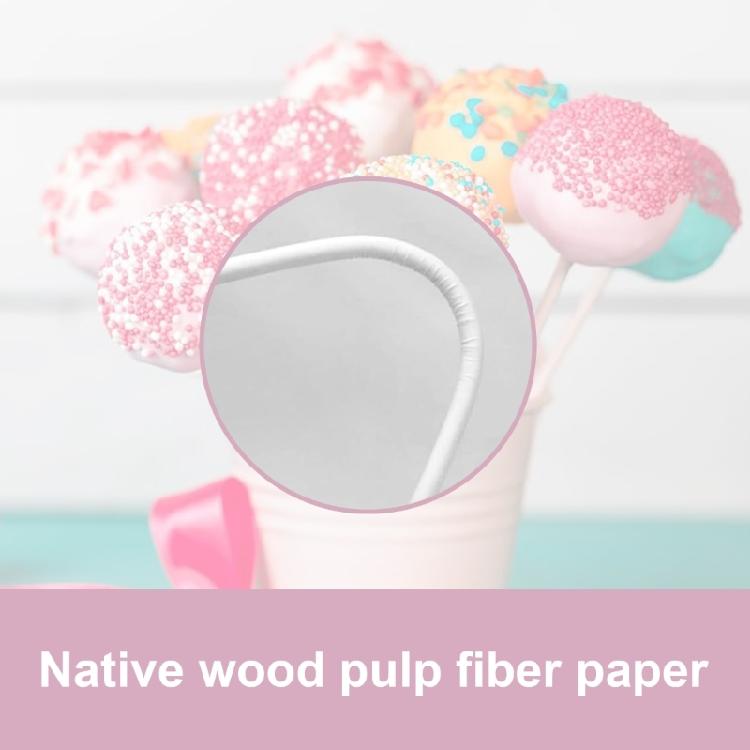 100Pcs White Paper Lollipop Stick for Chocolate Candy Lollipop DIY Molds