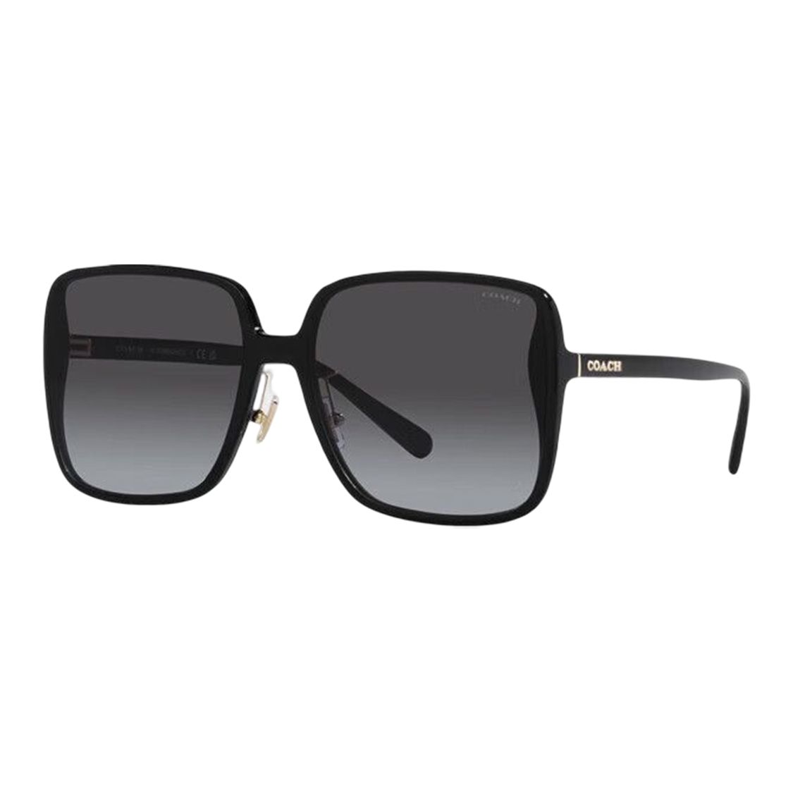Coach Solid Logo Letter Alloy Irregular Shape Sunglasses Women sunglasses Black 0HC8368D50028G61 Black,F