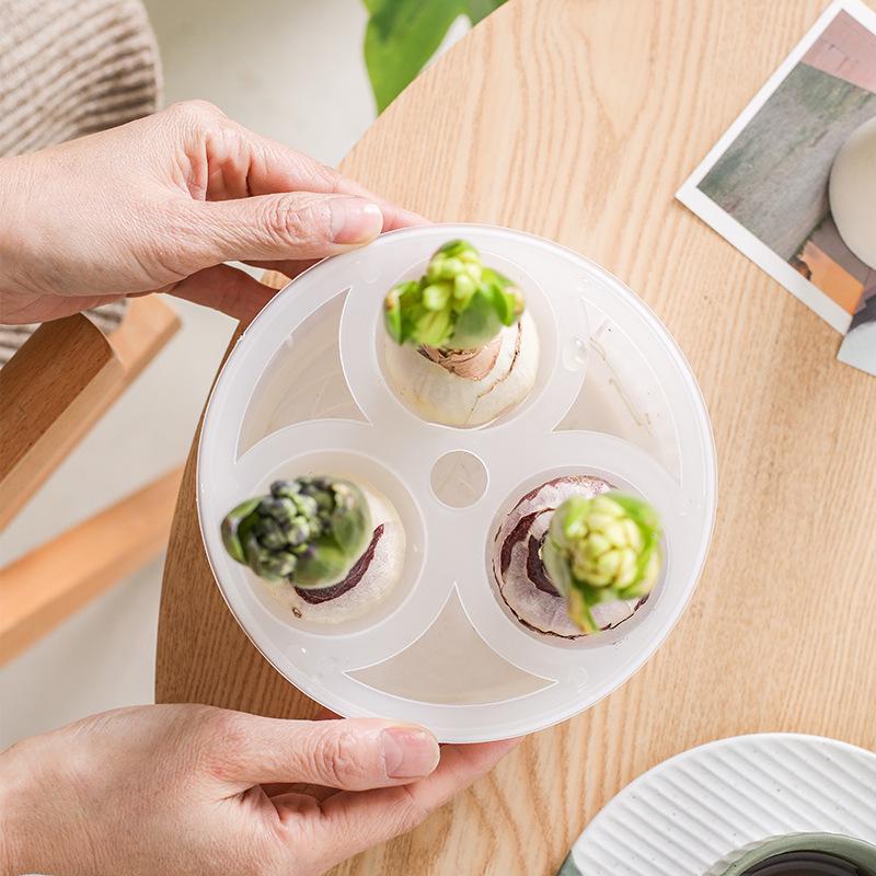 Tulip & Hyacinth Hydroponic Flower Pots: Three or Five-Hole Containers for Narcissus Seeds