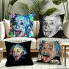 Funny Physics EEINSTEINes Cushion Cover Silky Short Plush Invisible Zipper Dustproof Sofa Pillow Case for Home Decor