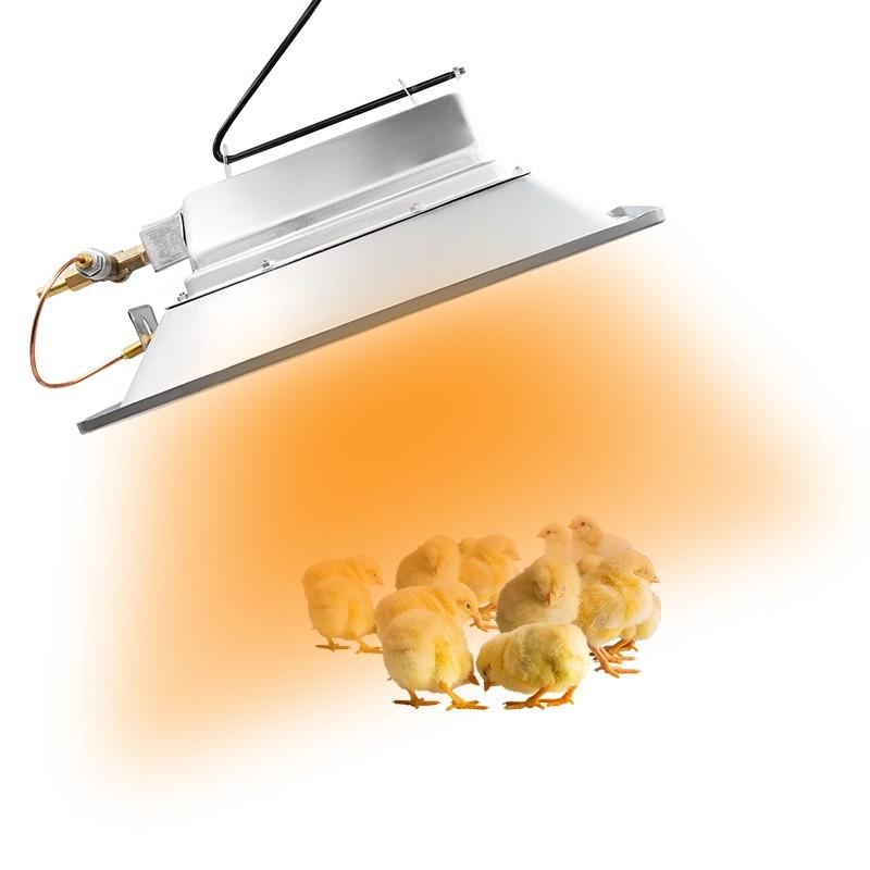 Automatic Heating Incubation Equipment Infrared Gas Brooder Heater Poultry Chicken Duck Ceramics Catalytic Heating Device