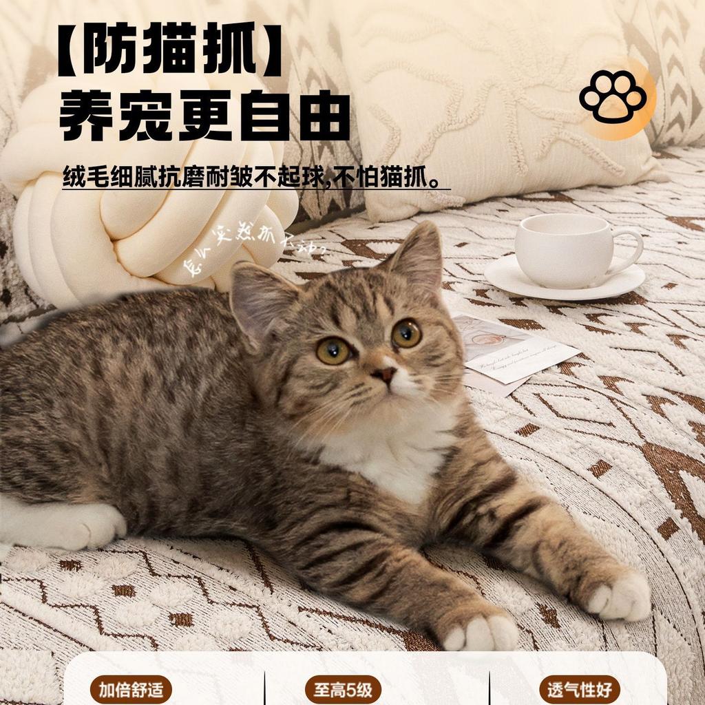 Half Velvet Thickened Sofa Cover Winter New Plush Fixed Non-Slip Cushion One-Piece Sofa Cover Durable Cat-Scratch Resistant