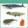 Realistic Ocean Animal Model Collection With Blue Whale Alligator Gar Pufferfish And Octopus Decor