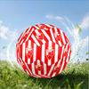 Crvena Zvezda Size 5 Soccer Ball,Indoor/Outdoor Suitable for Training Matches Tournaments Practice Games Perfect Gift for Fan
