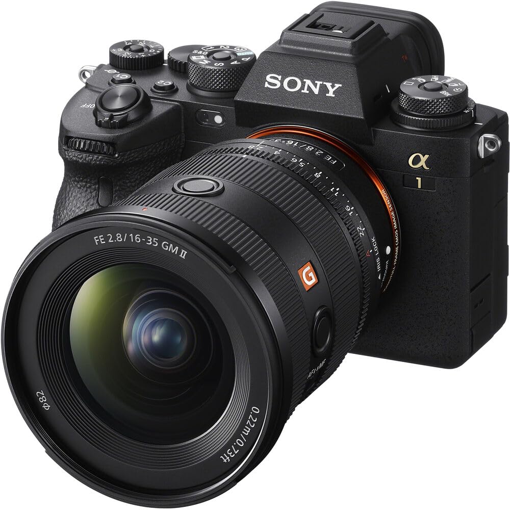 SONY SEL1635GM Zoom FE for G Master Digital SLR Cameras Wide-Angle Lens, 16-35mm F2.8 GM, Full-Frame, [E-Mount]