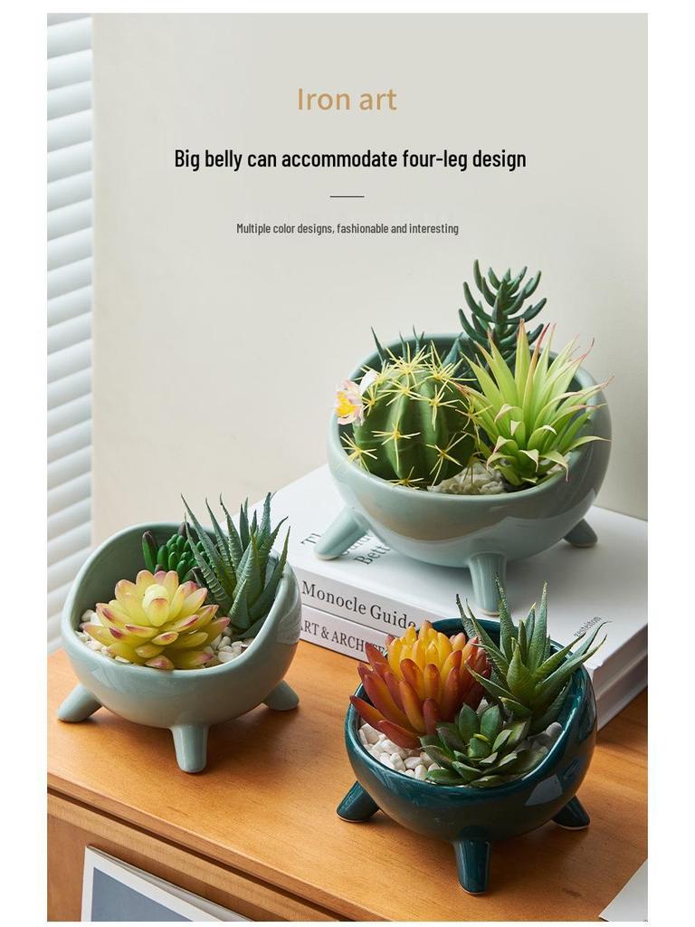 Nordic Ceramic Flower Pot: Succulent & Cactus Desktop Bonsai Ornament